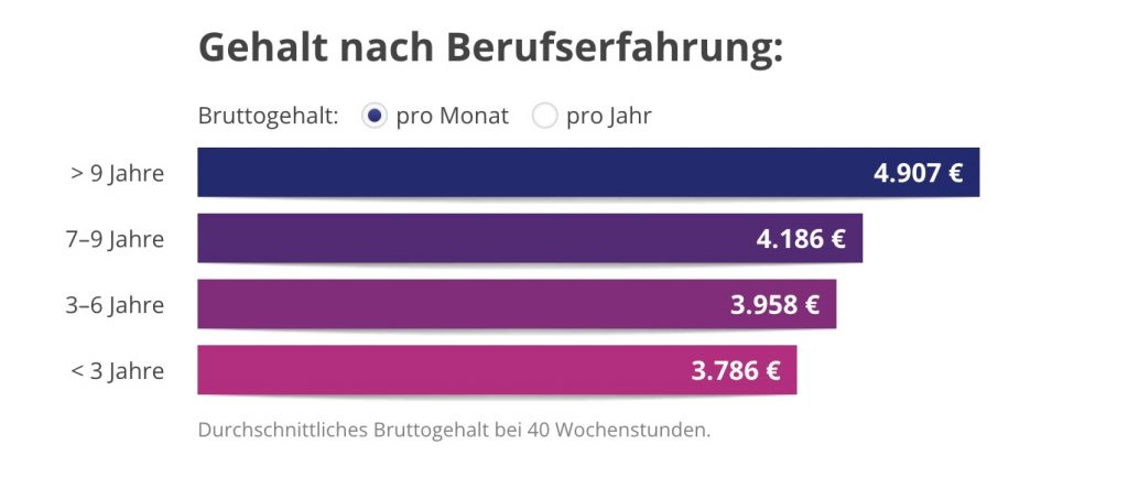 Account Manager Lebenslauf