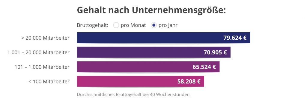 Apothekentechniker Lebenslauf