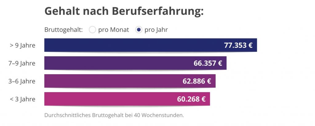 Program Manager Lebenslauf